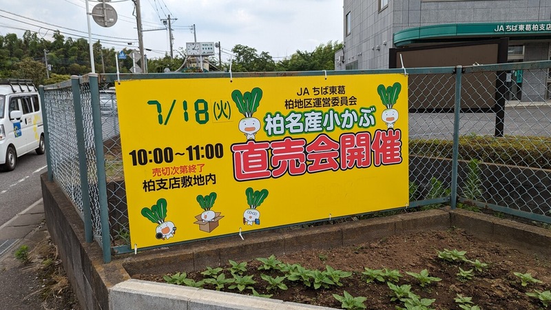 柏名産小かぶ直売会