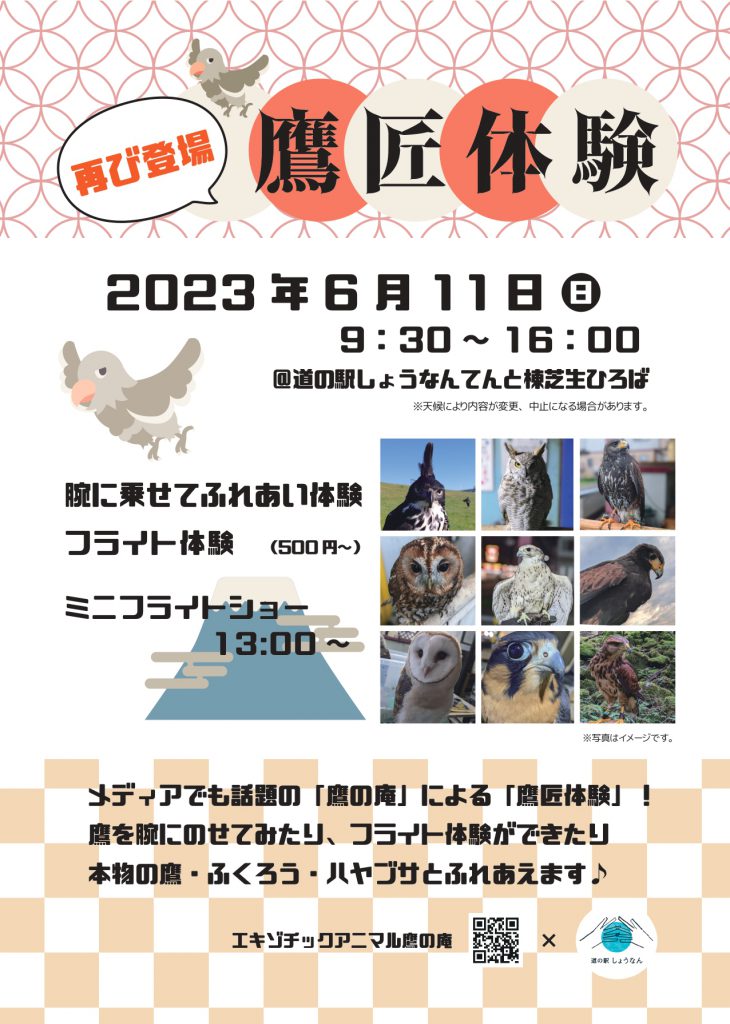 �뾢�θ�
