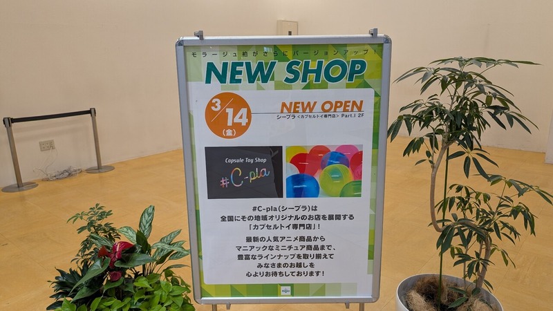 #C-pla ��顼������Ź