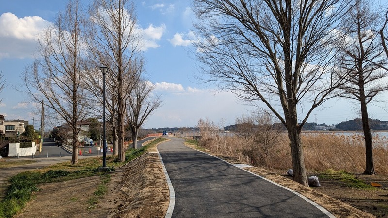 湖岸堤遊歩道