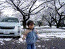 大雪カイとサイファ