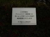 中電ウィング看板