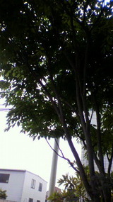 1c5f58f0.jpg