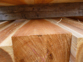 resize0233