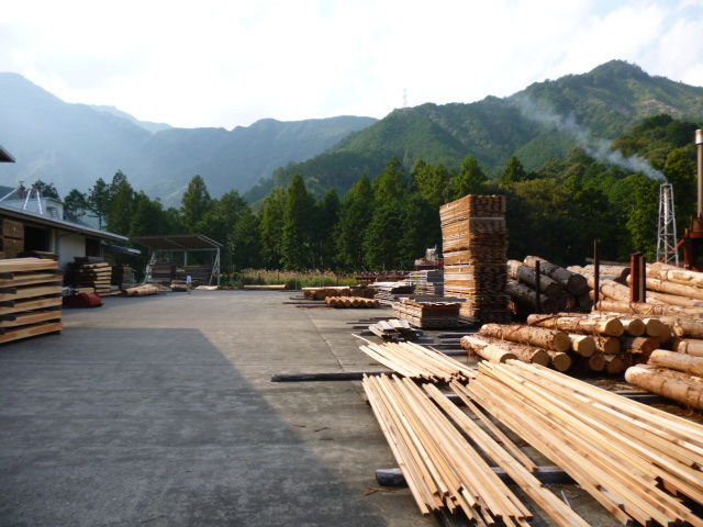 P1050131