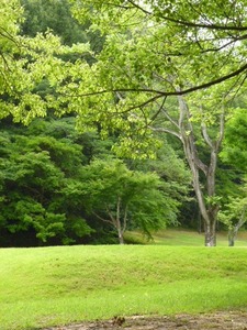 P1010962