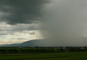 豪雨