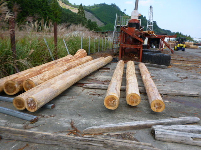 P1050111