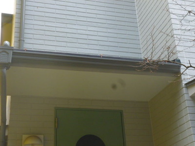 P1060888