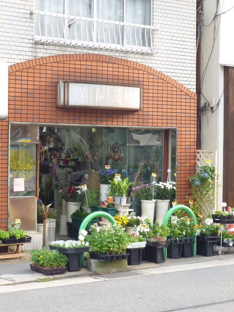Kaiさんの日記 茨木市で人気の花屋さん