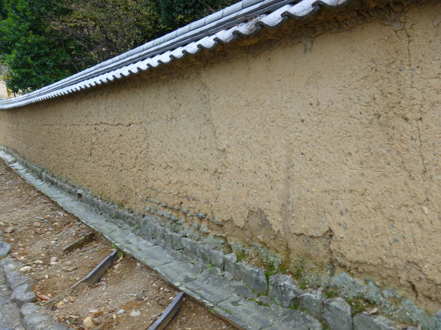 P1010825