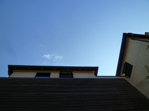 P1020560