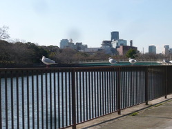 P1110053