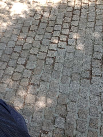 IMG_3632