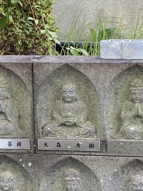 9C468502-9C52-42A3-B96C-24E79A4AFC06