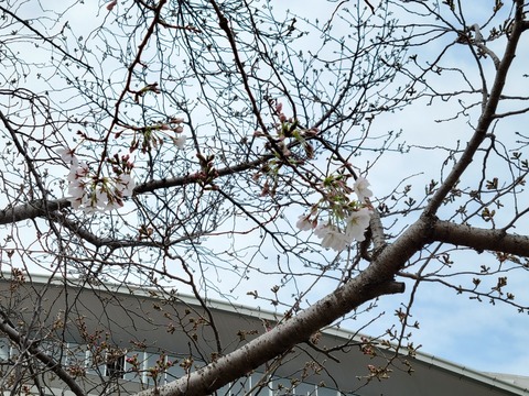 LINE_ALBUM_2024331_240402_2