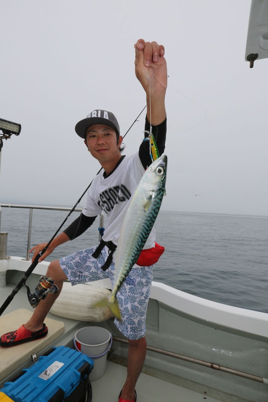 イメージ 19