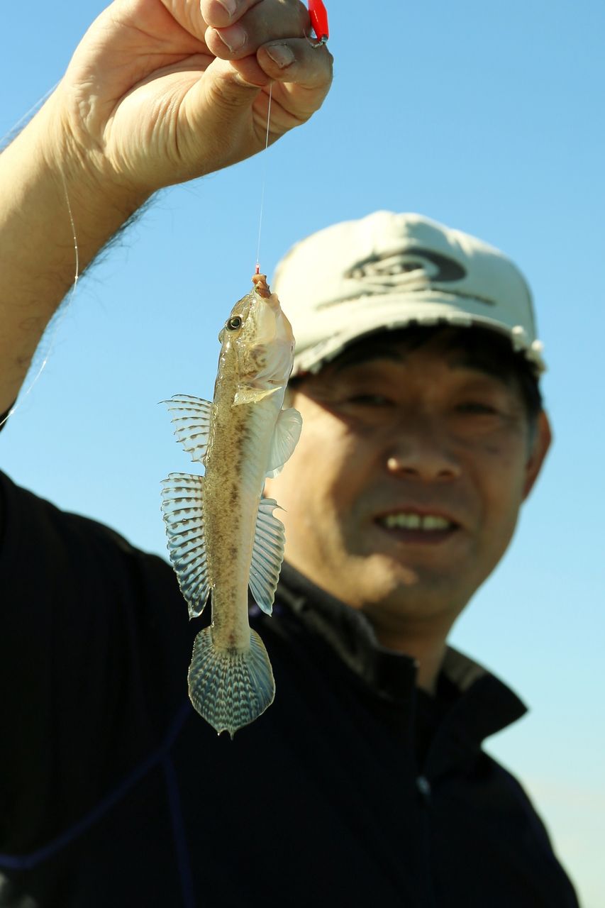 イメージ 5