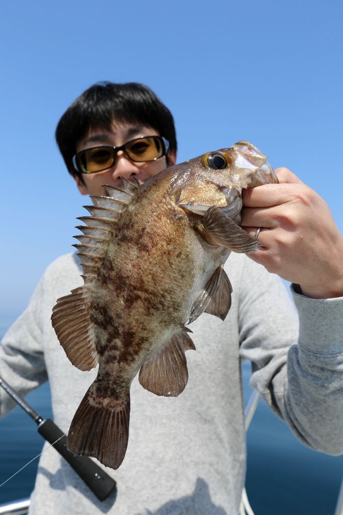 イメージ 19