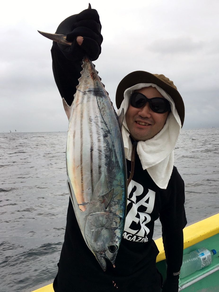 イメージ 8
