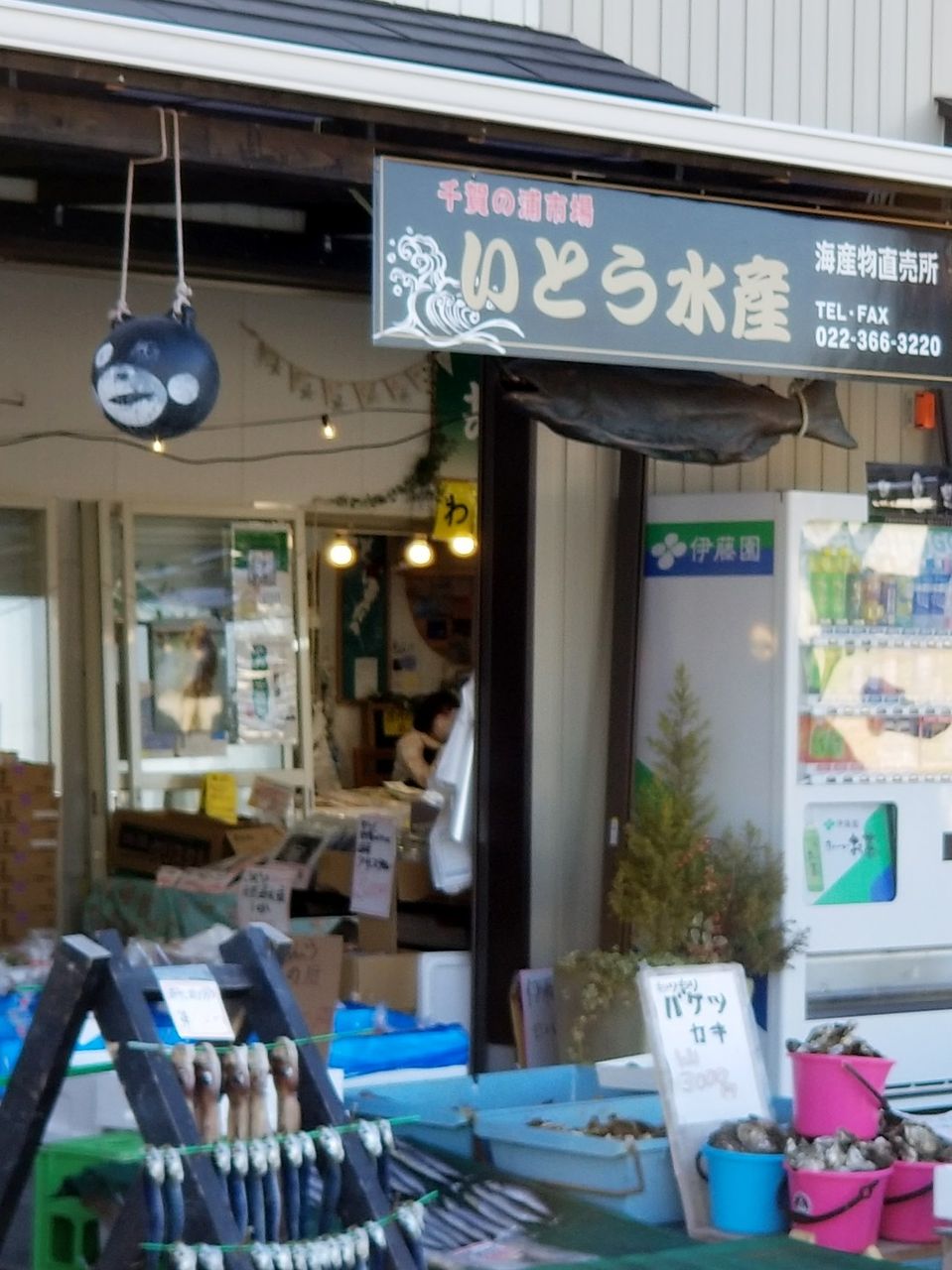 イメージ 8