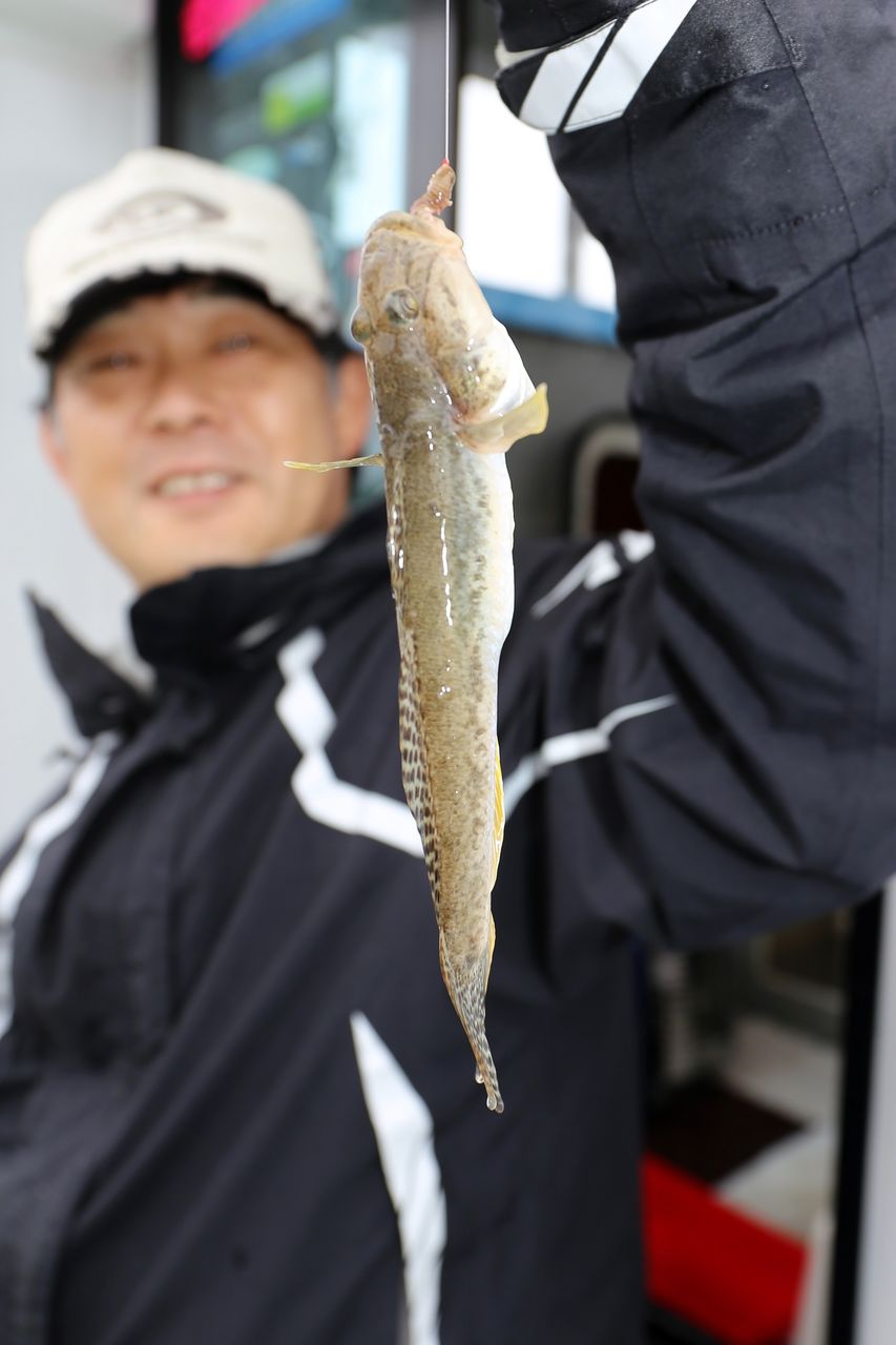 イメージ 7