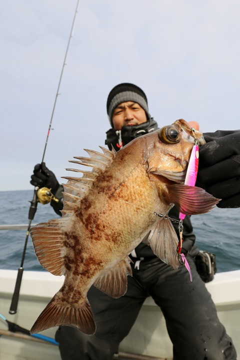 6Y4A6554
