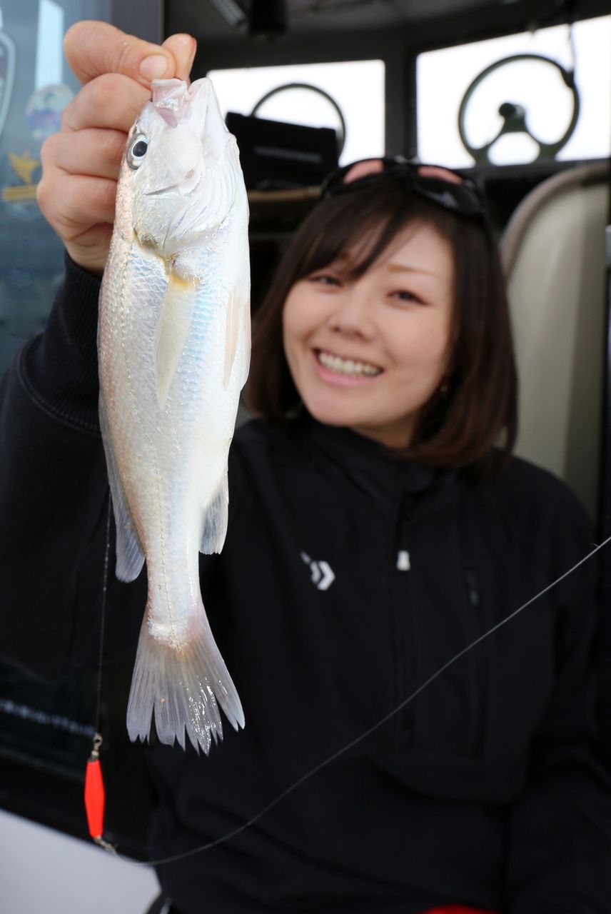 イメージ 14