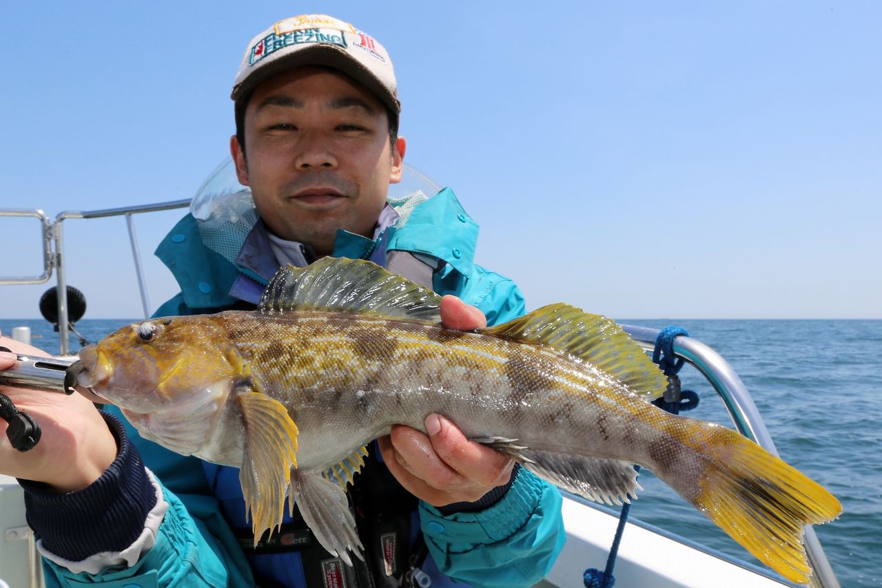 イメージ 15
