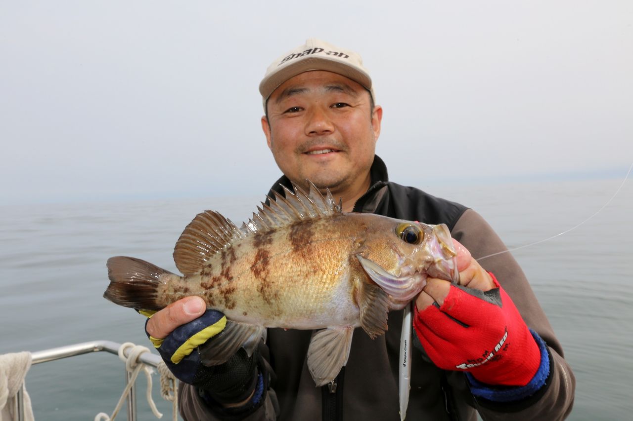 イメージ 8