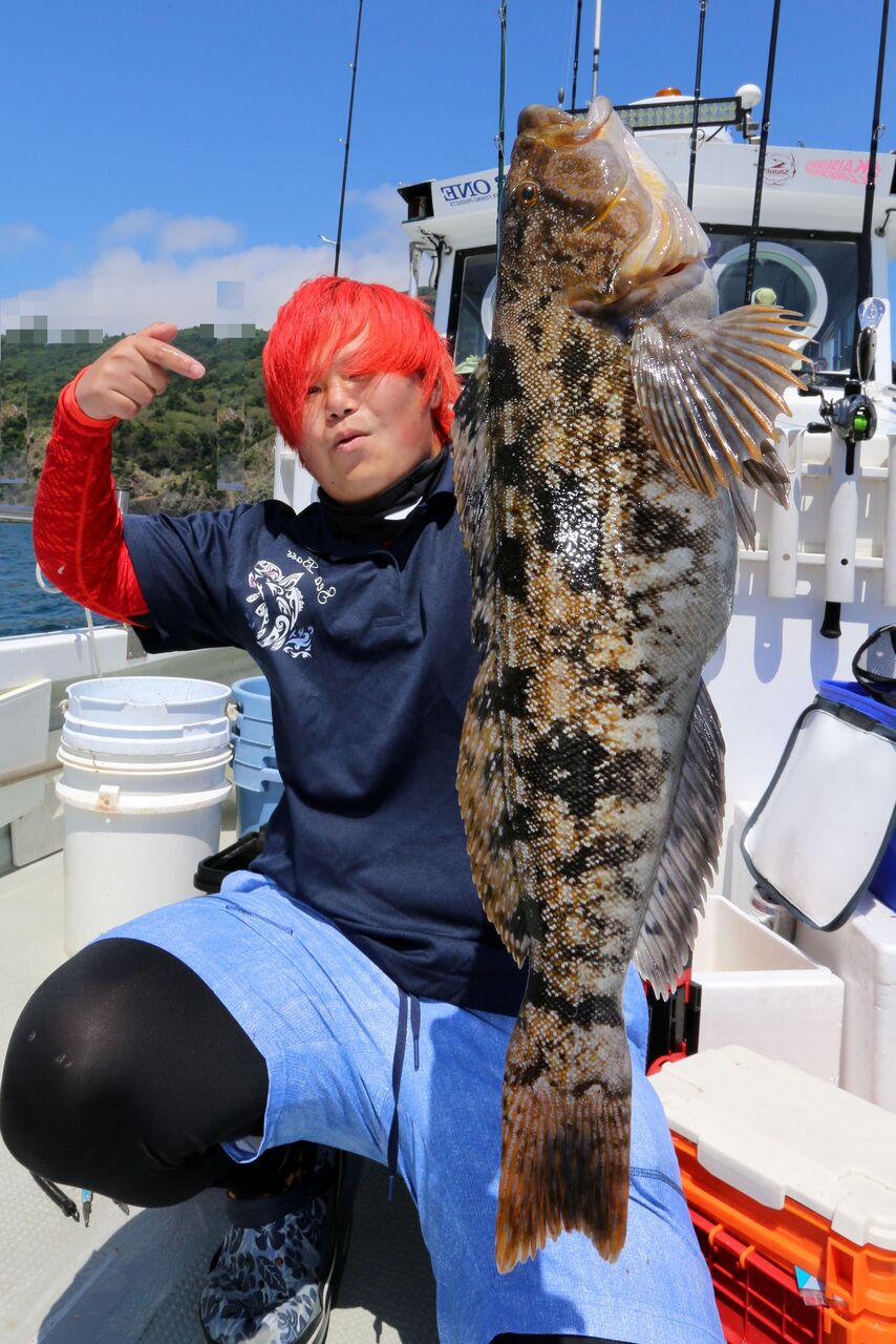 6月 7日 釣果 ロックフィッシュ 50up連発 最大55センチ 54 53 50 50と大型サイズ続きました 釣り船 快星丸の釣行記 6月 7日 釣果 ロックフィッシュ 50up連発 最大55センチ 54 53 50 50と大型サイズ続きました 釣り船 快星丸の釣行記