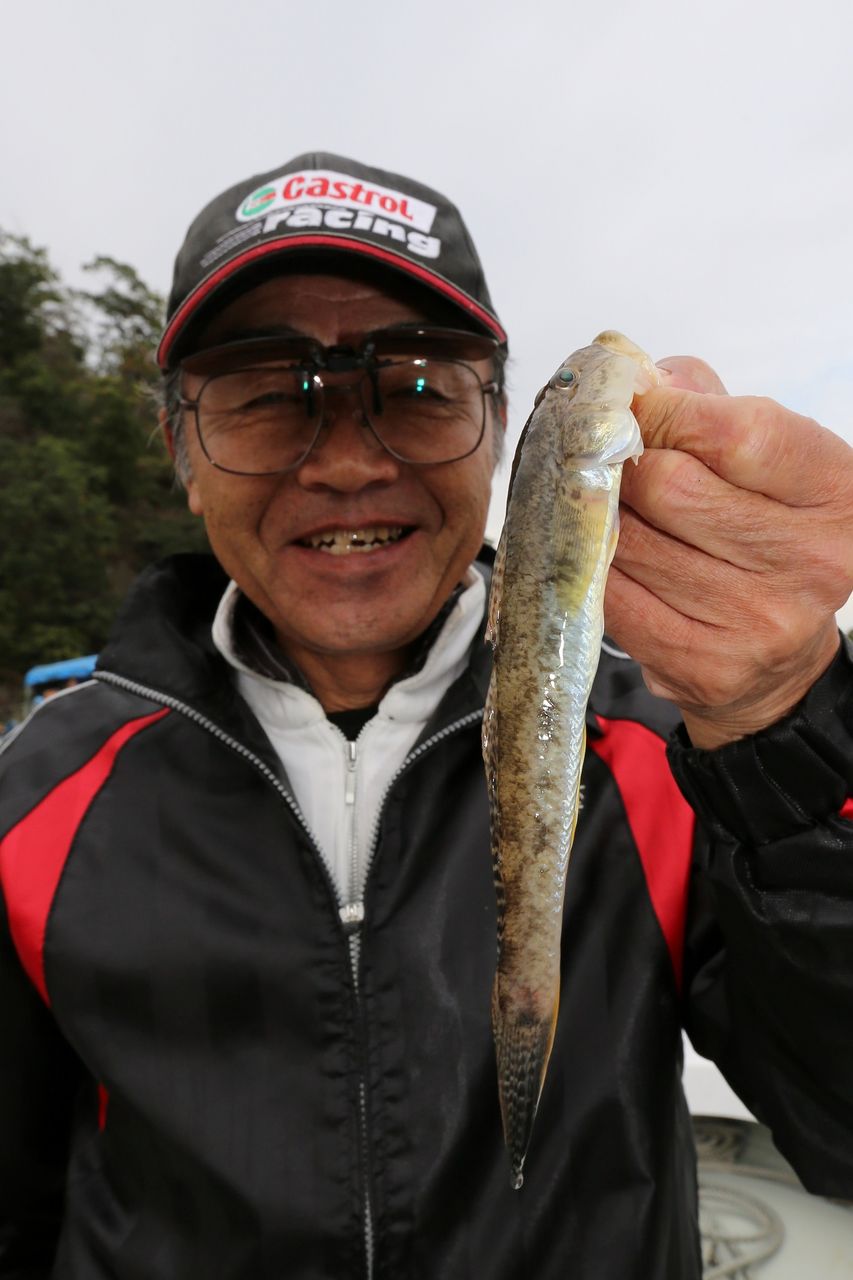 イメージ 7