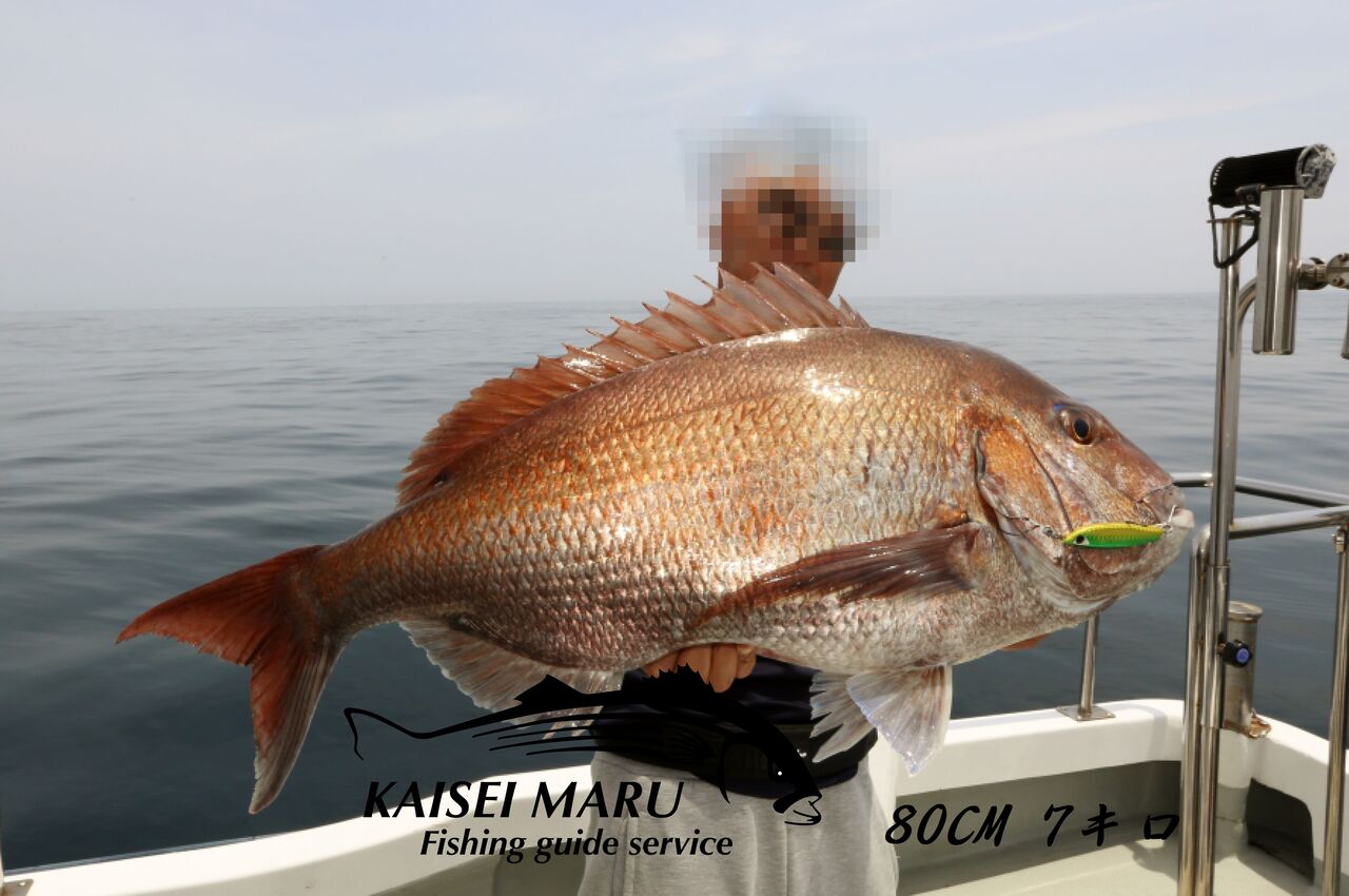 ６月 ６日 釣果 スーパーライトジギング マダイは８０センチの７キロ 他ハナダイやホウボウetc 釣り船 快星丸の釣行記