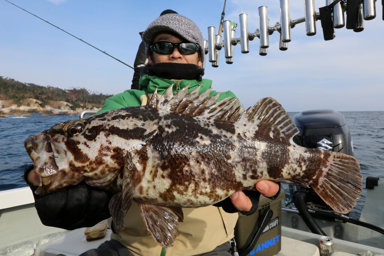 １２月２２日 釣果 ロックフィッシュ ソイ祭 釣り船 快星丸の釣行記