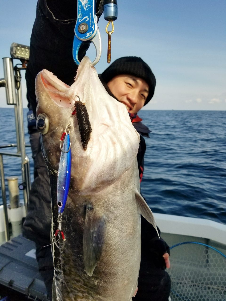 イメージ 36