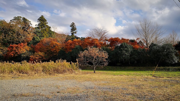 1202上総中野付近の山2