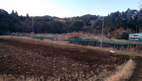 0114北側既存柵.jpg