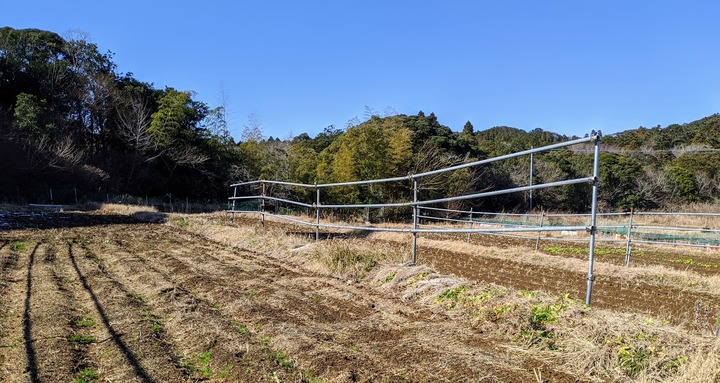 0120部分陥没した稲架