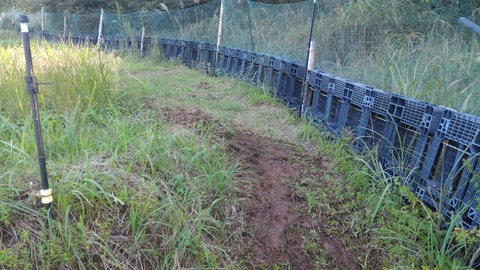 0911排水パイプ1号.jpg