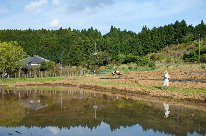 0517できたての田んぼの風景