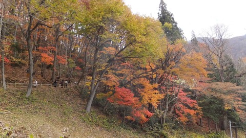 1106大内宿裏山.JPG