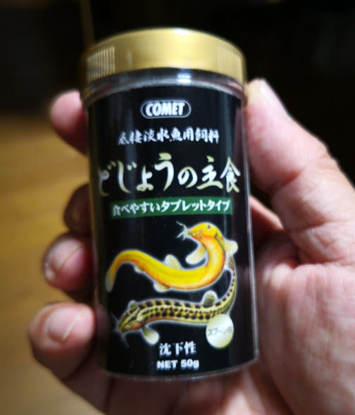 0502どじょうの主食