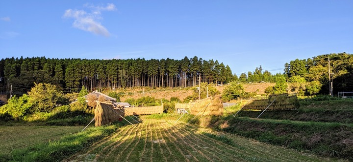1020秋の風景