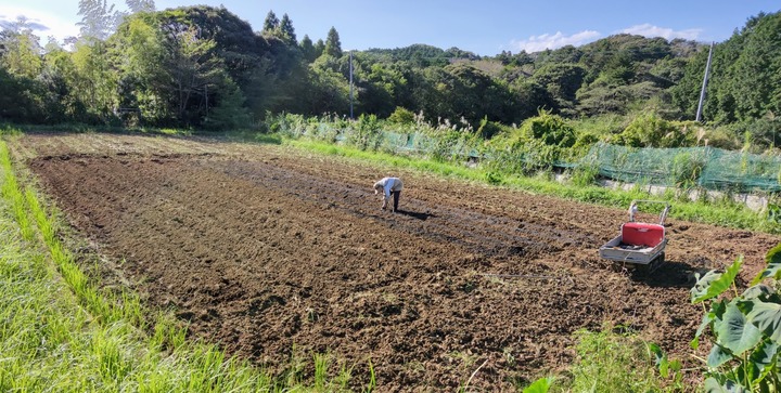 0929田んぼ4号種蒔く人