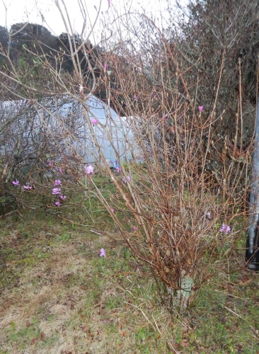 2410ef46.jpg