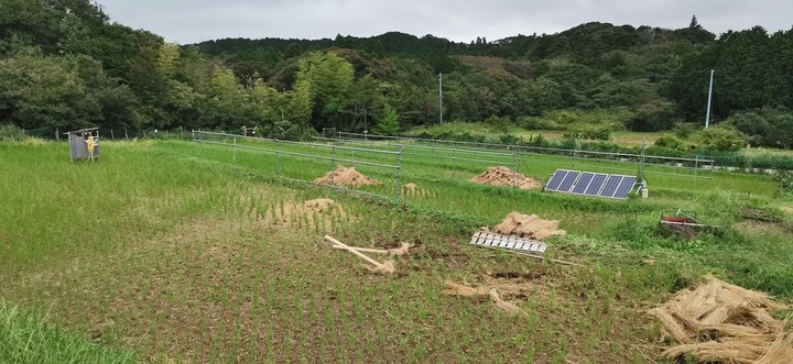 0922稲刈り後の田んぼ