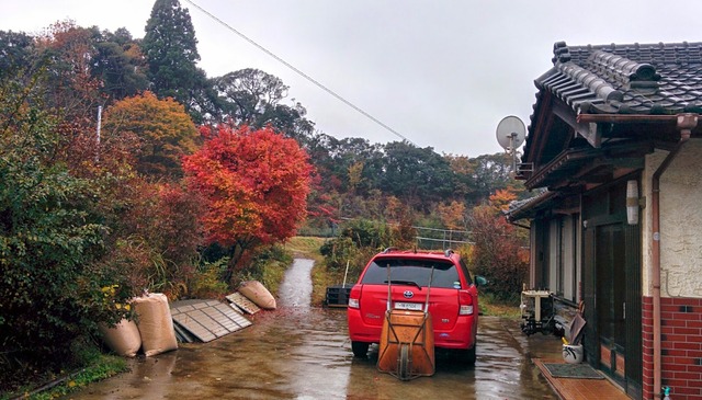 0808庭の紅葉２