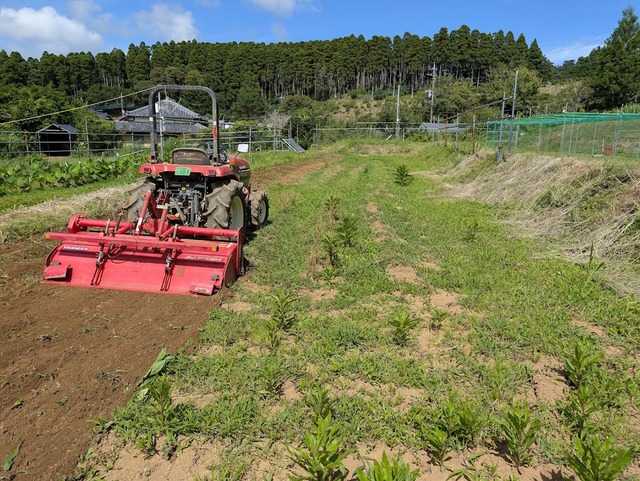 0711トラクターで草退治１