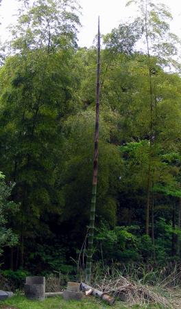 2d806179.jpg