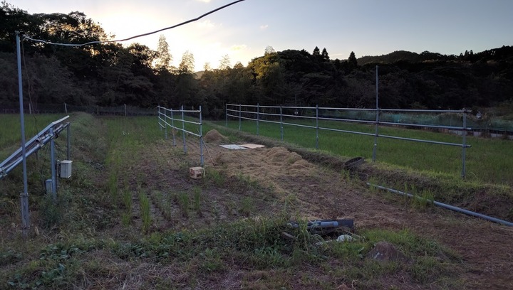 10173号田んぼ